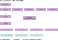 Graphic of Benzodiazepine metabolic pathways. One metabolite can indicate several different benzodiazepines.